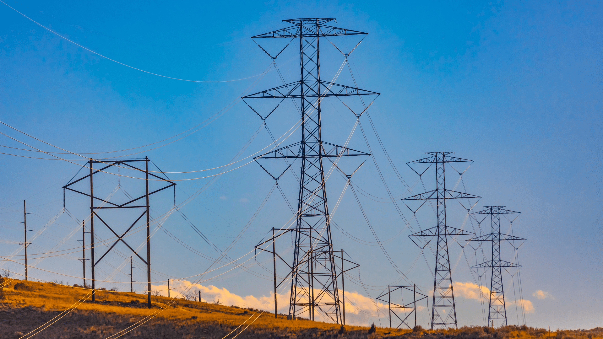 Le novità dal Mercato dei Servizi di Dispacciamento