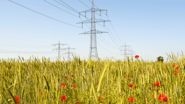 Servizi di flessibilità energetica: cosa sapere