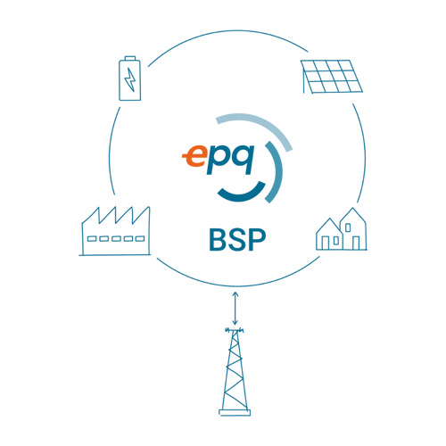 demand response - EPQ come BSP